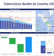 Tuberculosis Burden By Country